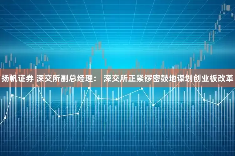 扬帆证券 深交所副总经理： 深交所正紧锣密鼓地谋划创业板改革